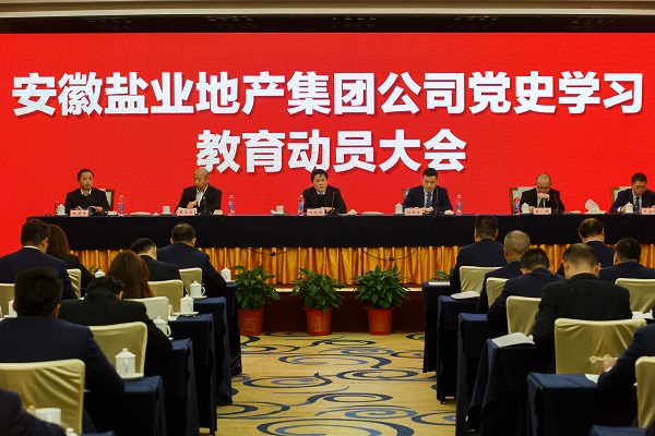 安徽AG真人地产集团公司召开党史学习教育发动大会