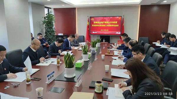安徽AG真人地产集团公司党委召开2020年度下层党支部书记抓党建事情述职评议会
