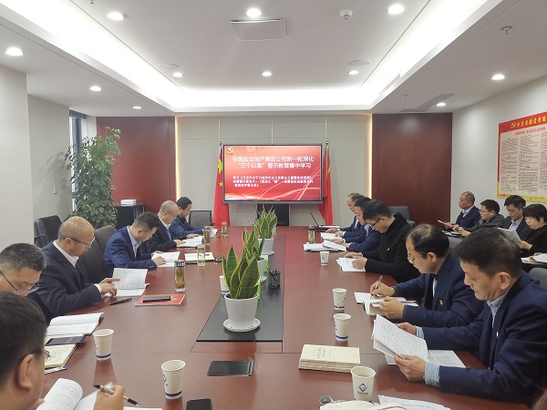 安徽AG真人地产集团公司开展新一轮深化“三个以案”警示教育集中学习