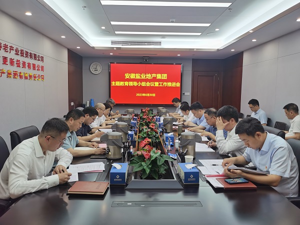 安徽AG真人地产集团召开学习贯彻习近平新时代中国特色社会主义头脑主题教育向导小组聚会暨事情推进会